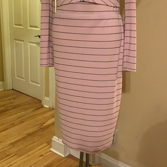NWT BCBG Generation Light Pink Striped Skirt Set Size M - Picture 6 of 9